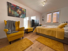 Business Class Studio Apartment Katowice Silesia City Center